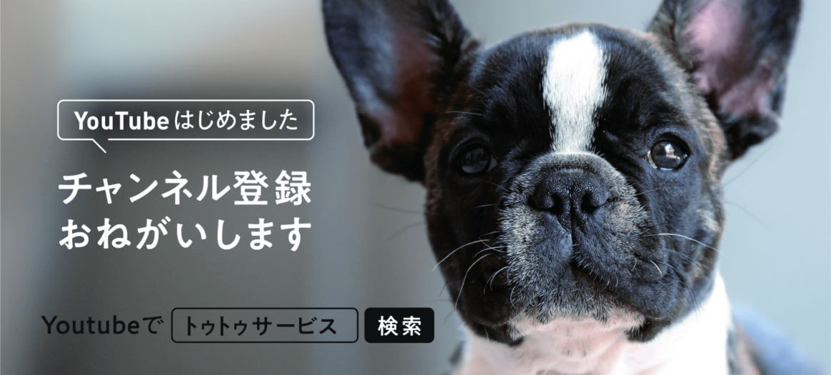 お散歩しつけの基本 リーダーウォーク 子犬 成犬まで トゥトゥサービス 東京の散歩代行 ペットシッター