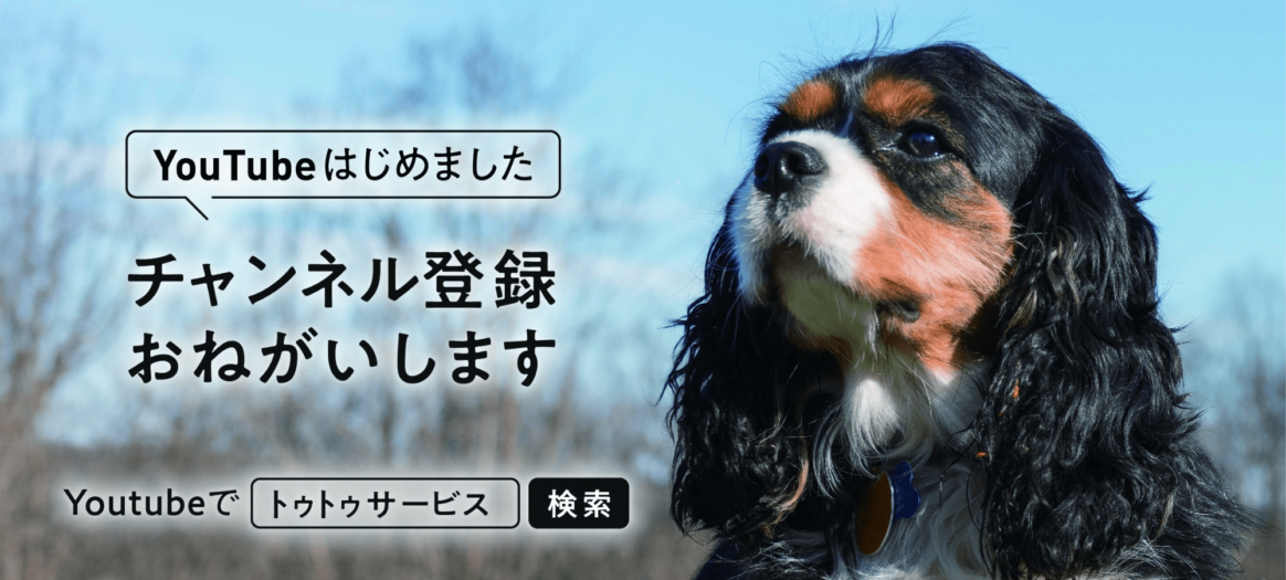 人見知りな犬を人慣れさせる方法 トゥトゥサービス 東京の散歩代行 ペットシッター